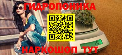 ПСИЛОЦИБИНОВЫЕ ГРИБЫ Берёзовский