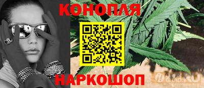 скорость Бийск