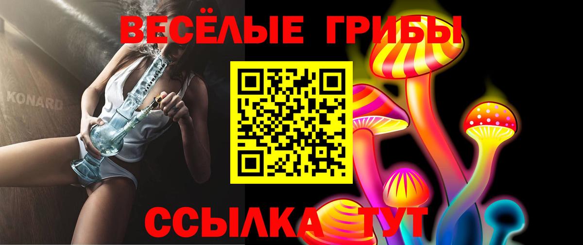 Псилоцибиновые грибы Cubensis Карталы